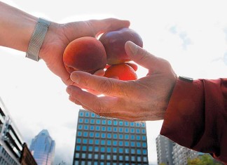 L’économie de marché, c’est quoi exactement ?