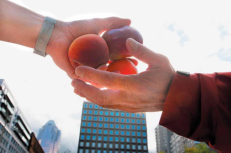 L’économie de marché, c’est quoi exactement ?