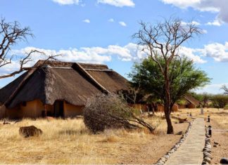 Tops des sites touristiques à découvrir en Namibie