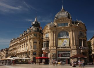 Que faire lors d’un séjour à Montpellier ?
