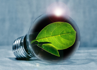 Quelle offre d’électricité verte choisir ?