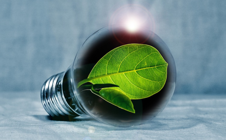 Quelle offre d’électricité verte choisir ?