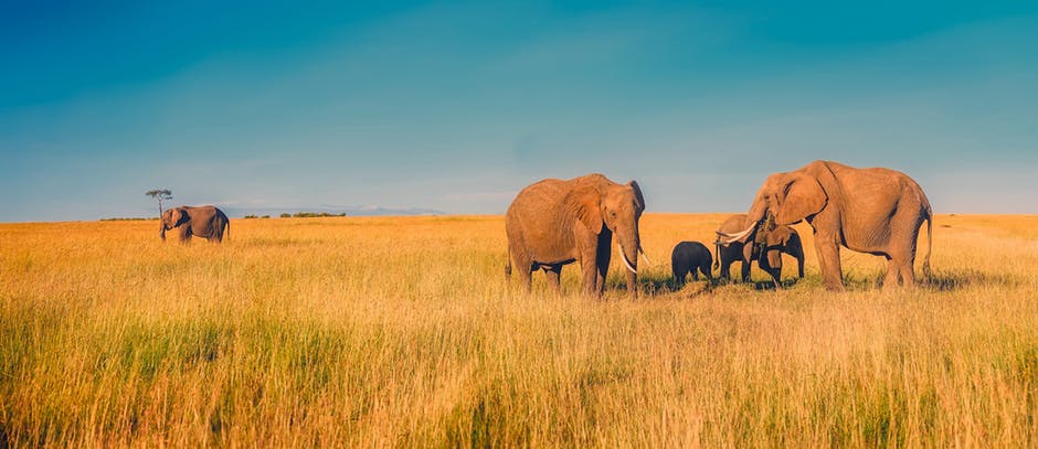 vacances en afrique