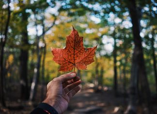 Comment organiser un séjour de rêve au Canada ?