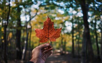 Comment organiser un séjour de rêve au Canada ?