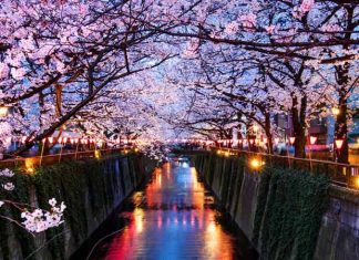 Quel est le parcours de Clara Barenne, créatrice de l’Académie de ReiKi japonais ?