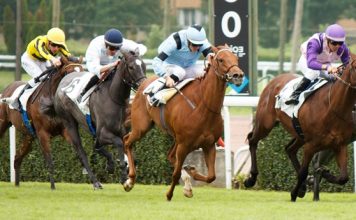 Tout savoir sur le jeu du multi du PMU !