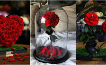 La nouvelle tendance : les roses éternelles !