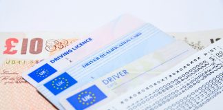 permis de conduire