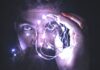 stimuler son cerveau