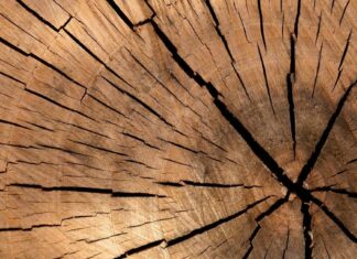 Comment découper des formes dans du bois ? Découpe bois