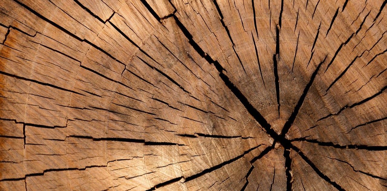 Découpe bois : comment découper des formes dans du bois ?