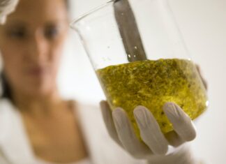 Pourquoi faire le choix d’un logiciel de formulation cosmétique ? Logiciel cosmétique