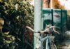 Travail en vélo