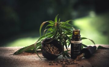 La nouvelle tendance des huiles CBD