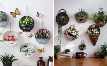 Astuces pour décorer son mur avec des plantes