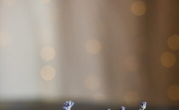 La lavande ou l’or bleu français miel de lavande