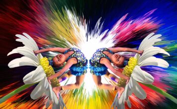 Tabelou : l’incontournable en matière de tableau personnalisable