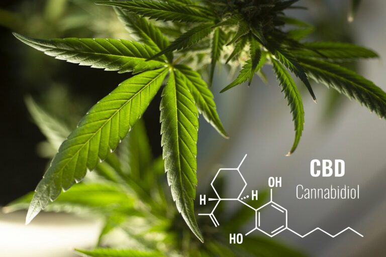 Quels sont les bienfaits de la CBD ?