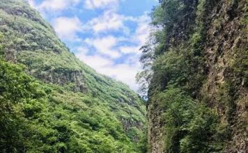 Top 5 des conseils pour une location de voiture à la réunion Conseils location voiture réunion