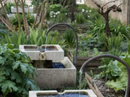Purificateur d'eau Berkey