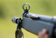 carabine a plomb