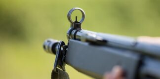carabine a plomb