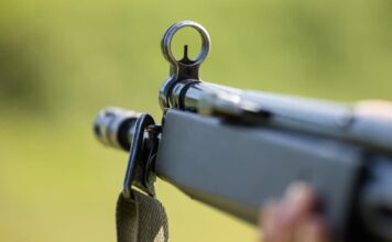 Comment choisir une carabine à plomb ? carabine a plomb