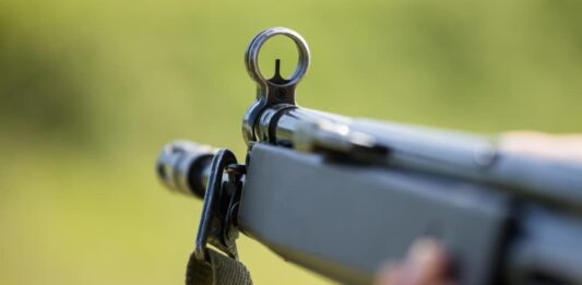 carabine a plomb