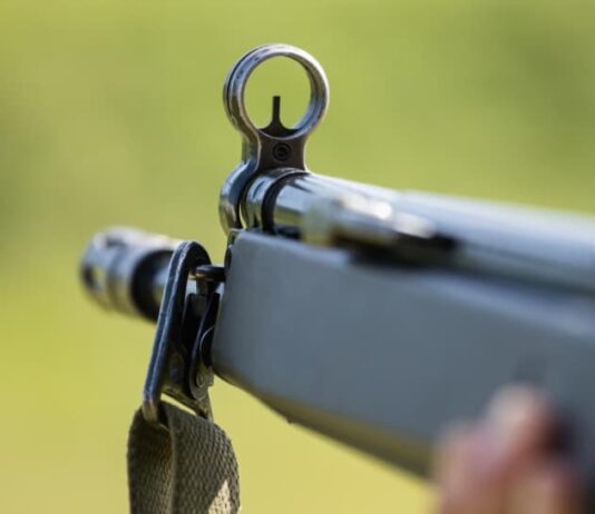 carabine a plomb