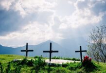 Obsèques écologiques : une tendance dans l’air du temps obsèques écologiques