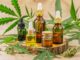 Les différentes manières de consommer du CBD Les différentes manières de consommer du CBD
