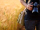 Les études pour devenir photographe professionnel : parcours et formations